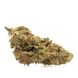 FORBIDDEN FRUIT